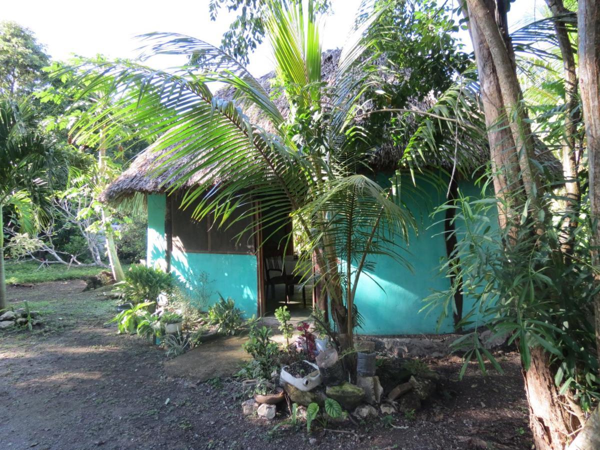 Cabanas Calakmul Conhuas Exterior photo