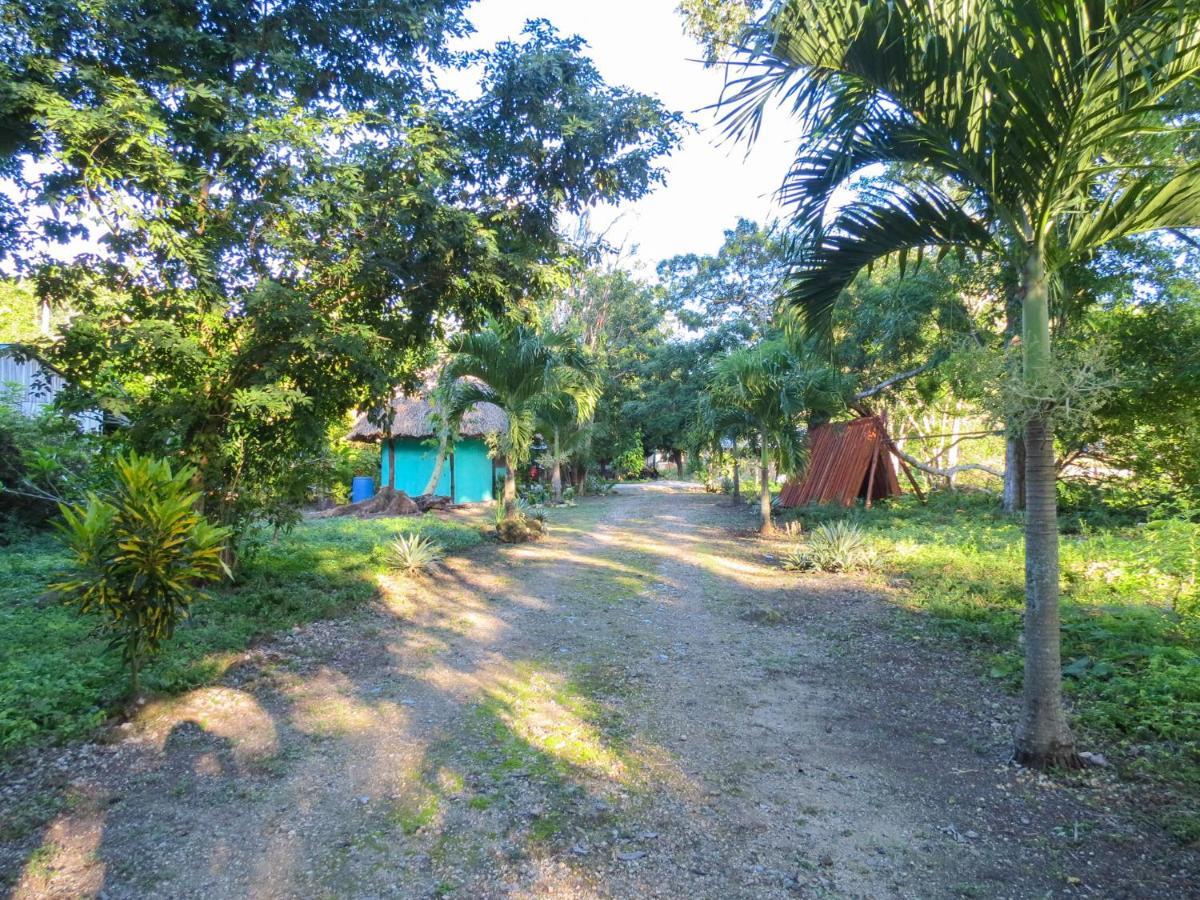 Cabanas Calakmul Conhuas Exterior photo